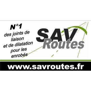 SAV Routes