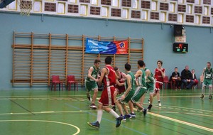 55183a267b485_0353.JPG