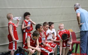 5537d69a66e9b_IMG0884Steph.JPG