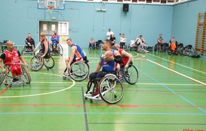 576020dbc8a1f_Handibasket001.JPG