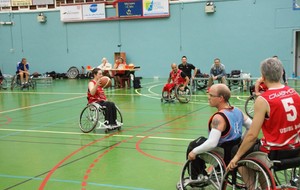 576020e07f151_Handibasket003.JPG